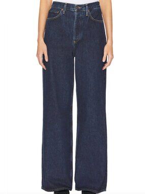 AGOLDE Dame Jean in Pendulum Blue Dark Wash Denim 28